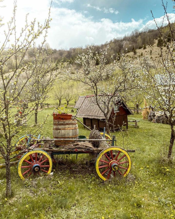 Log Cabin Uvac Nova Varoš Rom bilde