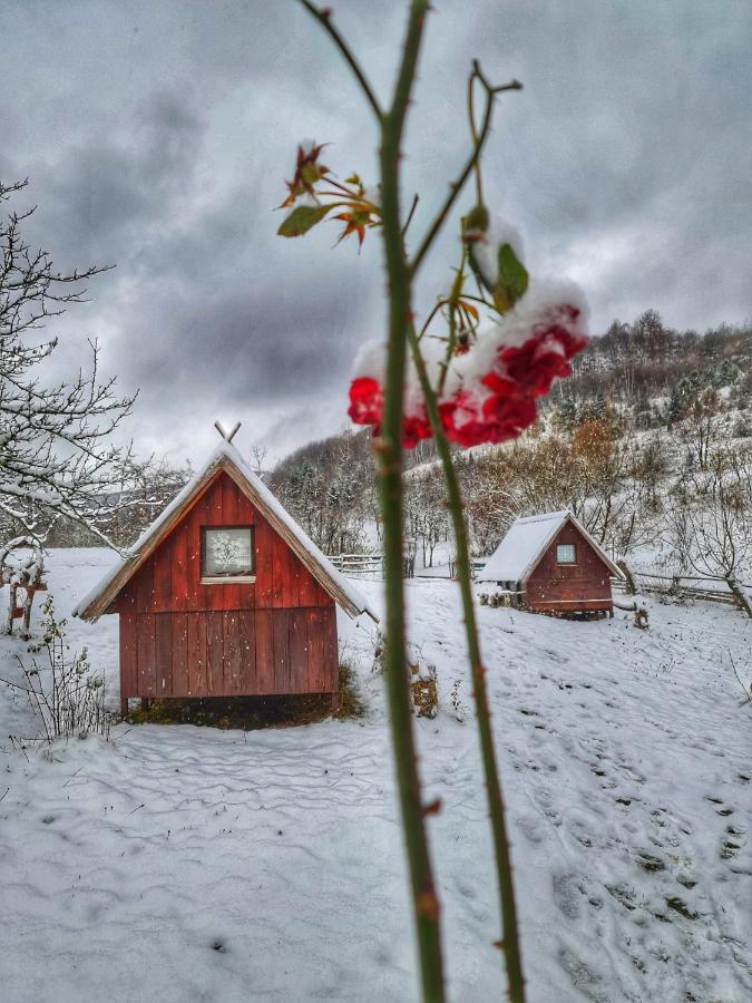 Log Cabin Uvac Nova Varoš Eksteriør bilde