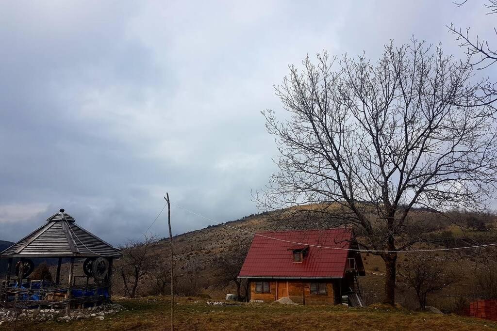 Log Cabin Uvac Nova Varoš Eksteriør bilde