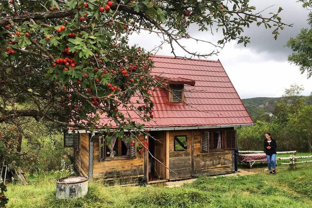 Log Cabin Uvac Nova Varoš Eksteriør bilde